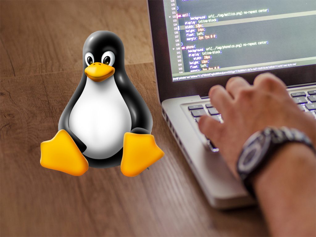 Gambar 3: Pertimbangan Dalam Menggunakan Sistem Operasi Linux - Art 4 Linux